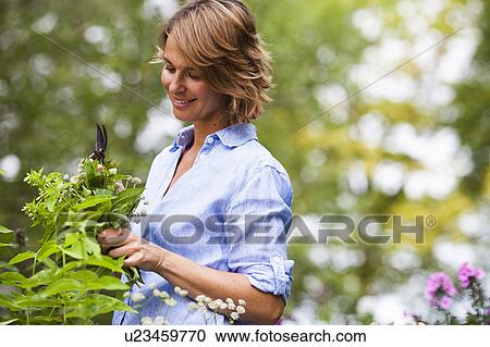 woman taking care of plants View Large Photo Image Stock Image - woman taking care of plants. Fotosearch