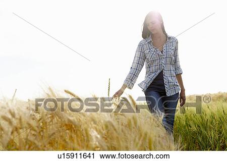 Woman walking in a wheat field View Large Photo Image Stock Image - Woman walking in a wheat field. Fotosearch