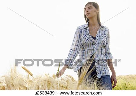 Woman walking in a wheat field View Large Photo Image Stock Image - Woman walking in a wheat field. Fotosearch