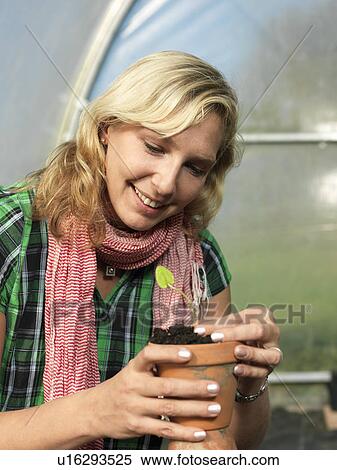 Woman with plant View Large Photo Image Stock Photography - Woman with plant. Fotosearch