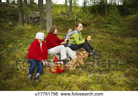Women with mushroom baskets in forest View Large Photo Image Stock Photograph - Women with mushroom baskets in forest. Fotosearch