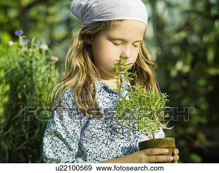 Stock Photo - Young female smelling a herb plant. Fotosearch