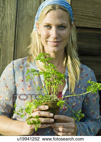 Young female with parsley plant View Large Photo Image Stock Image - Young female with parsley plant. Fotosearch