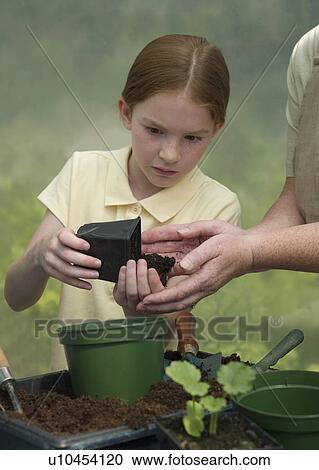 Stock Image - Young girl potting a plant. Fotosearch
