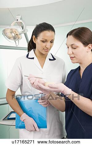 A female dentist and dental nurse View Large Photo Image Stock Image - A female dentist and dental nurse. Fotosearch