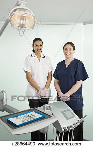 stock photography of a female dentist and dental nurse u28664490 dentist nurse