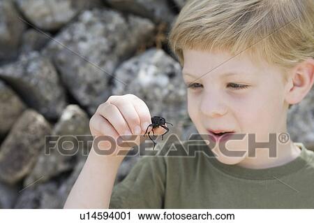 A young boy holding a beetle View Large Photo Image Stock Image - A young boy holding a beetle. Fotosearch