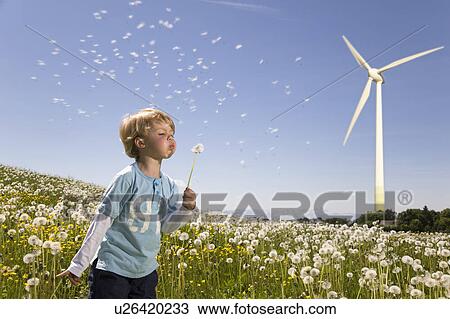 Stock Image - boy blowing dandelion at wind turbine. Fotosearch
