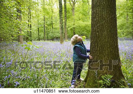 Boy holding a tree in his arms View Large Photo Image Stock Image - Boy holding a tree in his arms. Fotosearch