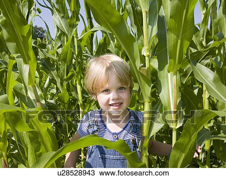 Stock Image - boy playing in corn field. Fotosearch