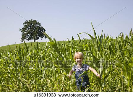 Stock Photo - boy playing in corn field. Fotosearch