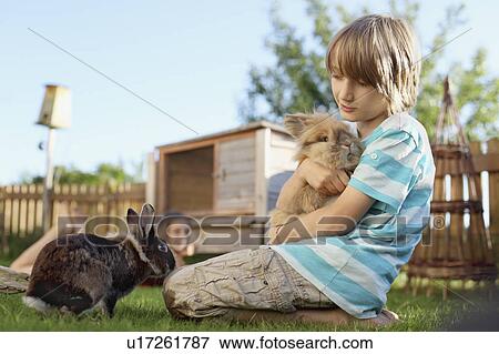 Boy playing with rabbit in garden View Large Photo Image Stock Photo - Boy playing with rabbit in garden. Fotosearch