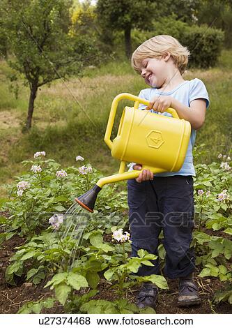 Stock Photo - boy watering plants. Fotosearch