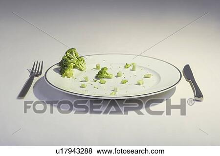 broccoli on plate View Large Photo Image Stock Photo - broccoli on plate. Fotosearch