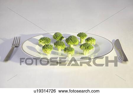 broccoli on plate View Large Photo Image Stock Photograph - broccoli on plate. Fotosearch