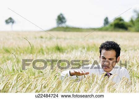 businessman in cornfield View Large Photo Image Picture - businessman in cornfield. Fotosearch