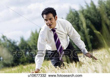 Stock Image - businessman in cornfield. Fotosearch