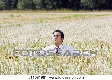 businessman in cornfield View Large Photo Image Stock Image - businessman in cornfield. Fotosearch