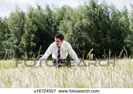 businessman in cornfield View Large Photo Image Stock Photo - businessman in cornfield. Fotosearch