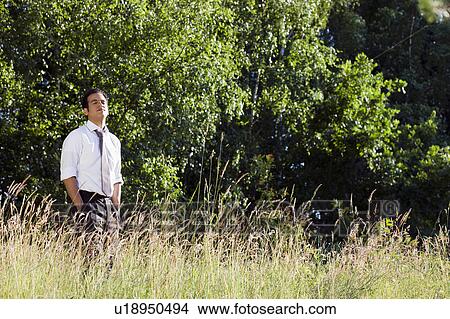 Picture - businessman standing in field. Fotosearch