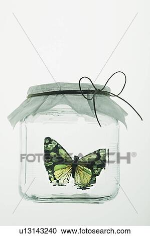 Stock Image - Butterfly in glass jar with paper cover. Fotosearch