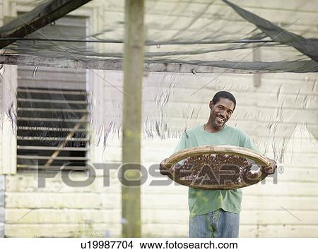 Picture - Coffee Worker Processing Coffee Beans. Fotosearch