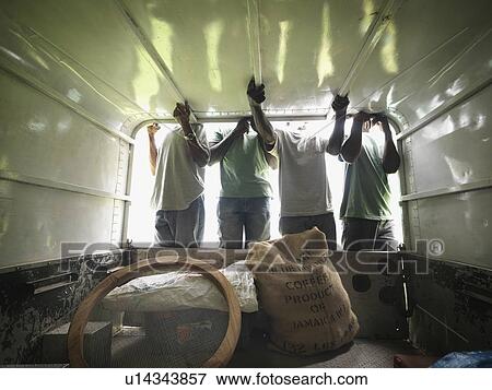 Coffee Workers In Pickup Truck View Large Photo Image Stock Photo - Coffee Workers In Pickup Truck. Fotosearch