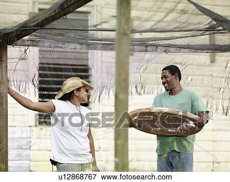 Stock Photo - Coffee Workers Processing Coffee Beans. Fotosearch