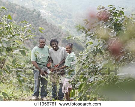 Stock Image - Coffee Workers With Coffee Beans. Fotosearch