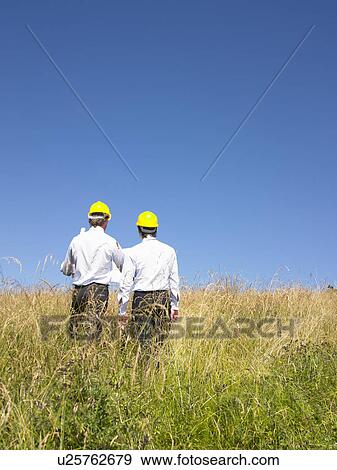 contractors with blueprints in field View Large Photo Image Stock Photo - contractors with blueprints in field. Fotosearch