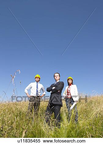 contractors with blueprints in field View Large Photo Image Stock Photography - contractors with blueprints in field. Fotosearch