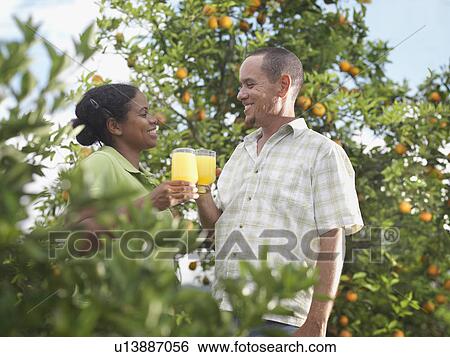 Stock Photograph - Couple In Orange Grove With Orange Juice. Fotosearch
