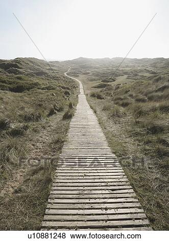 Stock Photo - Decking Path winding away. Fotosearch