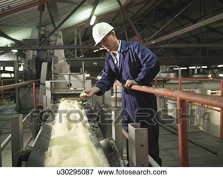 Factory Worker With Processed Sugar Cane View Large Photo Image Stock Photo - Factory Worker With Processed Sugar Cane. Fotosearch