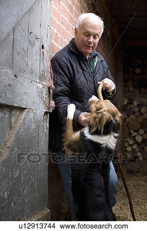 Picture - Farmer stroking sheepdog. Fotosearch