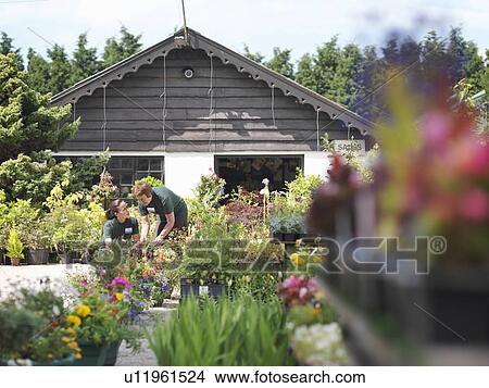 Picture - Female Garden Center Workers With Plants. Fotosearch