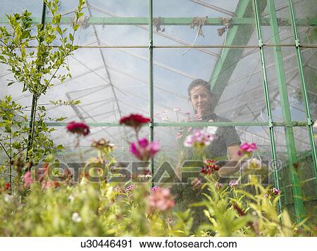 Female Gardener In Greenhouse View Large Photo Image Stock Image - Female Gardener In Greenhouse. Fotosearch