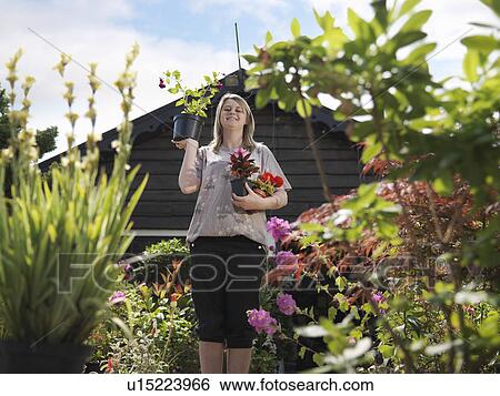 Female Holding Plants At Garden Center View Large Photo Image Stock Photograph - Female Holding Plants At Garden Center. Fotosearch