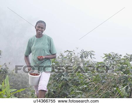 Stock Photography - Female Worker With Coffee Beans. Fotosearch