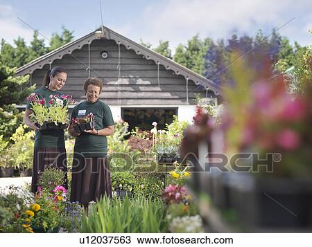Female Workers At Garden Center View Large Photo Image Stock Image - Female Workers At Garden Center. Fotosearch