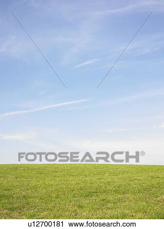 field of wild grasses View Large Photo Image Stock Image - field of wild grasses. Fotosearch