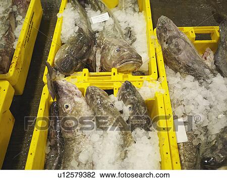 Stock Image - Fish And Ice In Yellow Containers. Fotosearch