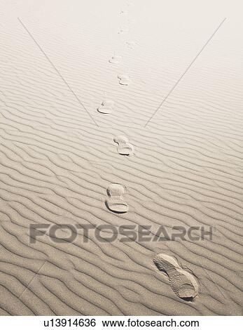 Footprints in sand View Large Photo Image Stock Photograph - Footprints in sand. Fotosearch