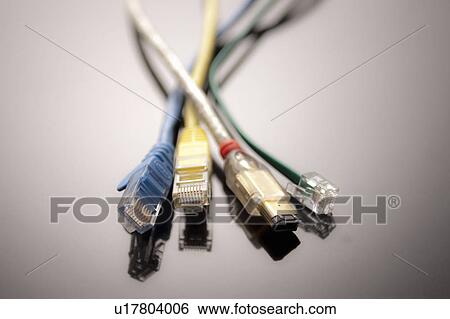 Four computer cables, close up View Large Photo Image Stock Photograph - Four computer cables, close up. Fotosearch