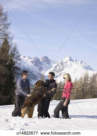 friends laughing with dog on mountain View Large Photo Image Stock Photo - friends laughing with dog on mountain. Fotosearch