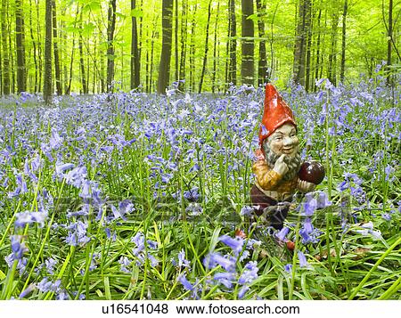 Stock Photo - Garden gnome in the woods. Fotosearch