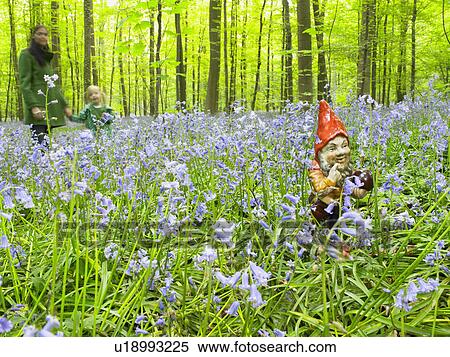 Garden gnome in the woods View Large Photo Image Stock Photography - Garden gnome in the woods. Fotosearch