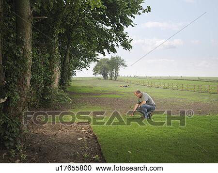 Gardener Inspecting Grass View Large Photo Image Stock Image - Gardener Inspecting Grass. Fotosearch