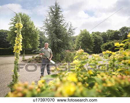 Stock Image - Gardener With Spade In Garden. Fotosearch