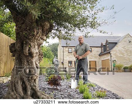 Gardener With Spade View Large Photo Image Stock Image - Gardener With Spade. Fotosearch